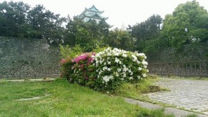 名古屋城
