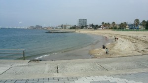大野海岸